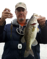 El Grande Lures Gila Jrs catch bass
