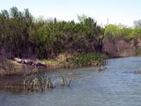 Typical Choke Canyon scene