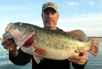 8.31 lbs from Falcon Lake