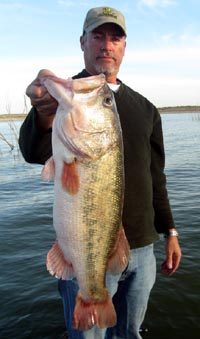 8.31 lbs from Falcon Lake