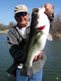 A nice LBJ bass
