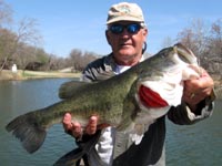 A nice LBJ bass
