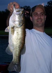 nice Lake Austin bass