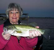 Lake LBJ bass