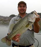 Stillhouse Hollow bass