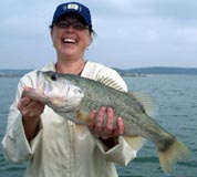 Stillhouse Hollow bass