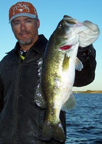 Nice LBJ bass
