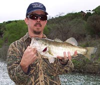 nice canyon bass