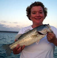 Sunny with a nice Stillhouse bass