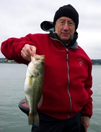 nice fat travis bass