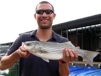 Nice Striper on Travis